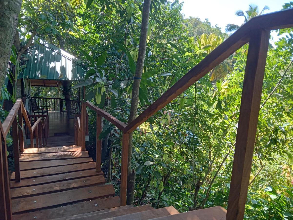Cinnamon View Lodge Мириса Екстериор снимка
